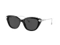 Swarovski SK 6010 103887 53 Women sunglasses