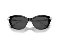 Swarovski SK 6010 103887 53 Women sunglasses