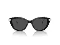 Swarovski SK 6010 103887 53 Women sunglasses