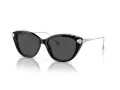 Swarovski SK 6010 103887 53 Women sunglasses