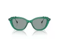 Swarovski SK 6010 2003/1 53 Women sunglasses