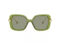 Swarovski SK 6011 3002/2 55 Women sunglasses