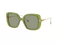 Swarovski SK 6011 3002/2 55 Women sunglasses