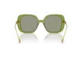 Swarovski SK 6011 3002/2 55 Women sunglasses