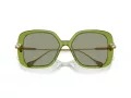 Swarovski SK 6011 3002/2 55 Women sunglasses