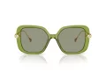 Swarovski SK 6011 3002/2 55 Women sunglasses
