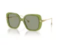 Swarovski SK 6011 3002/2 55 Women sunglasses