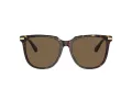 Swarovski SK 6015D 100273 55 Women sunglasses