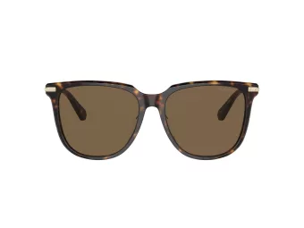 Swarovski SK 6015D 100273 55 Women sunglasses