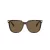 Swarovski SK 6015D 100273 55 Women sunglasses