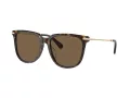 Swarovski SK 6015D 100273 55 Women sunglasses