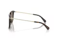 Swarovski SK 6015D 100273 55 Women sunglasses