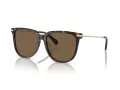 Swarovski SK 6015D 100273 55 Women sunglasses