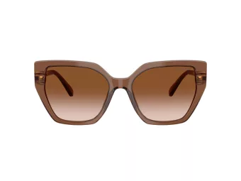 Swarovski SK 6016 106713 56 Women sunglasses