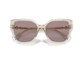 Swarovski SK 6016 3003LA 56 Women sunglasses