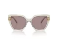 Swarovski SK 6016 3003LA 56 Women sunglasses
