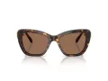 Swarovski 6018 100273 52 Women sunglasses