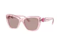 Swarovski SK 6018 30017N 52 Women sunglasses