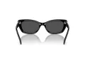 Swarovski SK 6019 100187 54 Women sunglasses