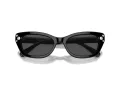 Swarovski SK 6019 100187 54 Women sunglasses