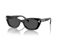 Swarovski SK 6019 100187 54 Women sunglasses