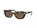 Swarovski SK 6019 100273 54 Women sunglasses