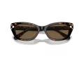 Swarovski SK 6019 100273 54 Women sunglasses