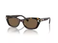 Swarovski SK 6019 100273 54 Women sunglasses