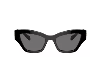 Swarovski SK 6021 100181 53 Women sunglasses