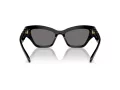 Swarovski SK 6021 100181 53 Women sunglasses