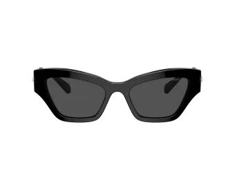 Swarovski SK 6021 100187 53 Women sunglasses
