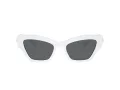 Swarovski SK 6021 105087 53 Women sunglasses