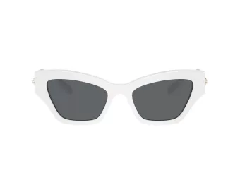Swarovski SK 6021 105087 53 Women sunglasses