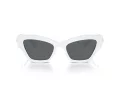 Swarovski SK 6021 105087 53 Women sunglasses