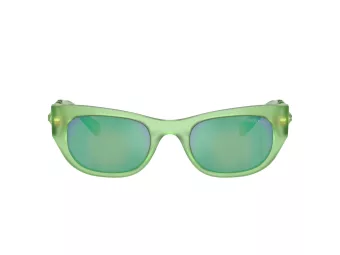 Swarovski SK 6022 105131 51 Women sunglasses