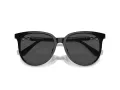 Swarovski SK 6023D 100187 56 Women sunglasses