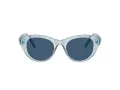 Swarovski SK 6025 106555 47 Women sunglasses