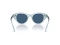 Swarovski SK 6025 106555 47 Women sunglasses