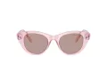 Swarovski SK 6025 30017N 47 Women sunglasses