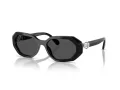Swarovski SK 6028 100187 54 Women sunglasses