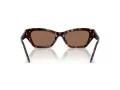 Swarovski SK 6029 100273 50 Women sunglasses