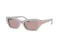 Swarovski SK 6029 10317N 53 Women sunglasses