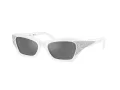 Swarovski SK 6029 10506G 53 Women sunglasses