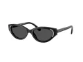 Swarovski SK 6030 100187 52 Women sunglasses