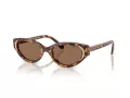Swarovski SK 6030 104073 52 Women sunglasses
