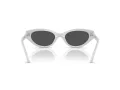 Swarovski SK 6030 106087 52 Women sunglasses