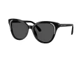 Swarovski SK 6031 100187 53 Women sunglasses