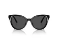 Swarovski SK 6031 100187 53 Women sunglasses