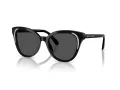 Swarovski SK 6031 100187 53 Women sunglasses
