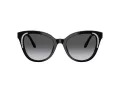 Swarovski SK 6031 1001T3 53 Women sunglasses